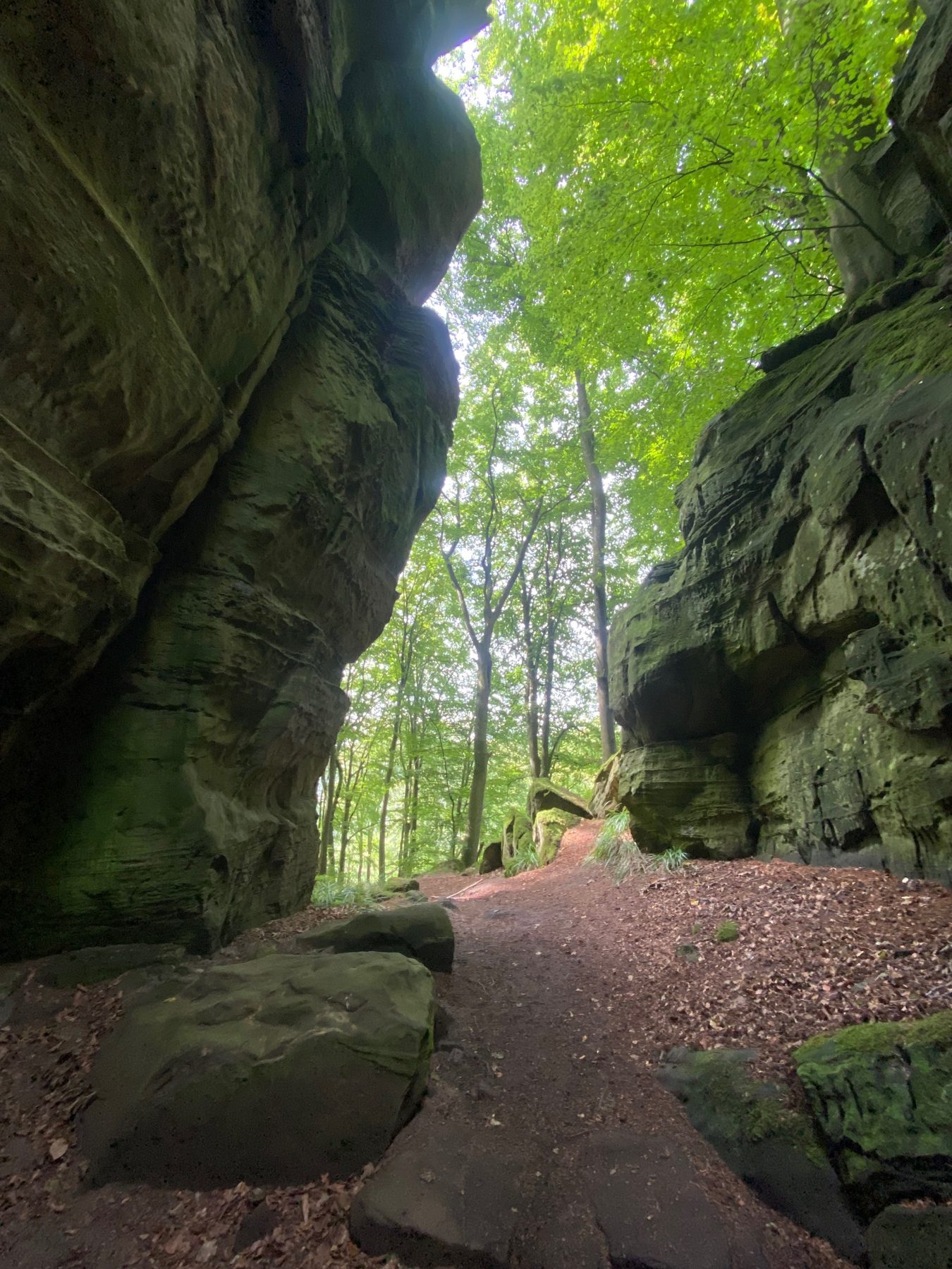 Passage étroit entre deux falaises de grès moussues, sous les hêtres, au Mullerthal