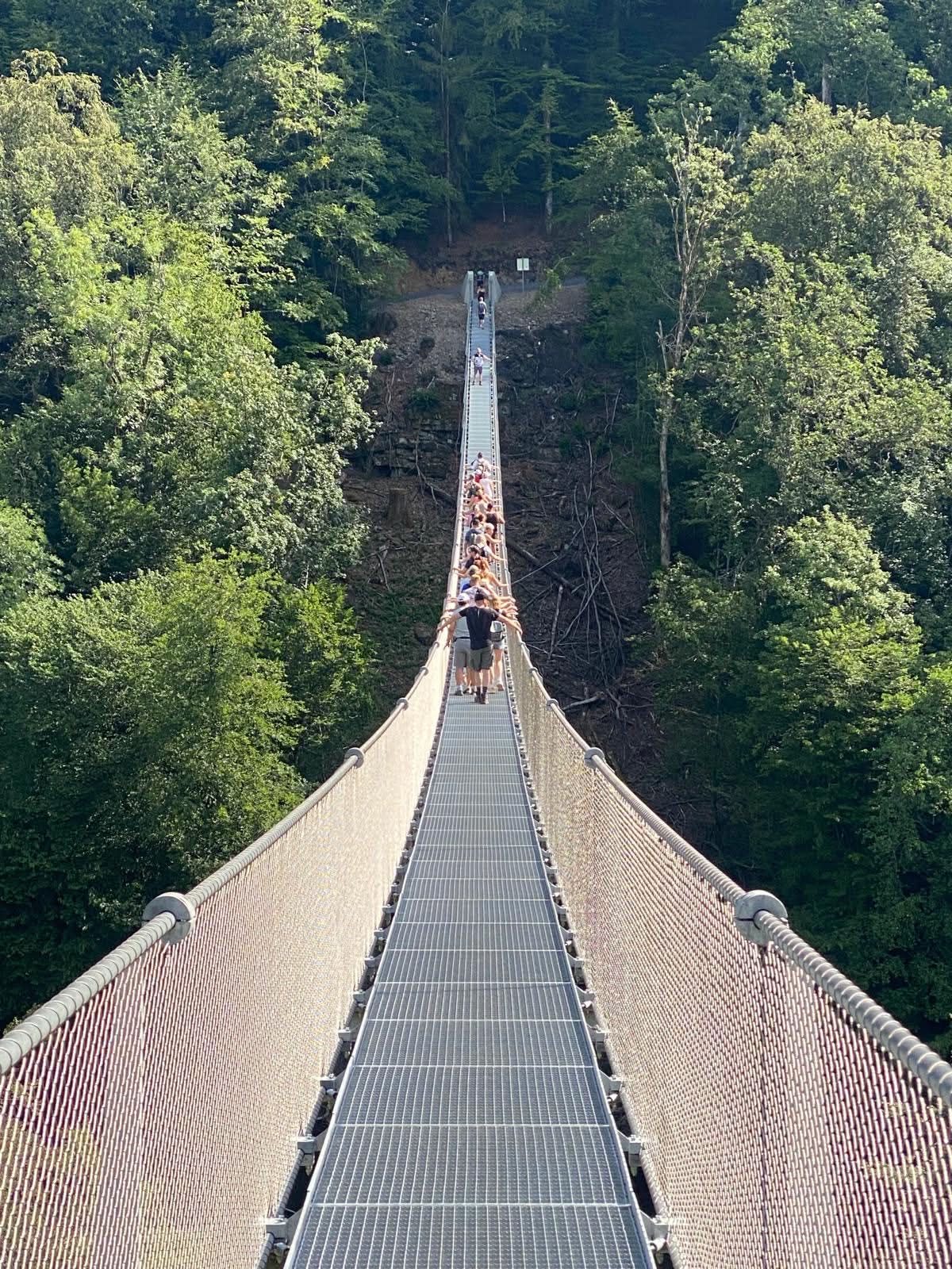 Une file de promeneurs sur la passerelle, les mains sur les câbles, au-dessus de la forêt